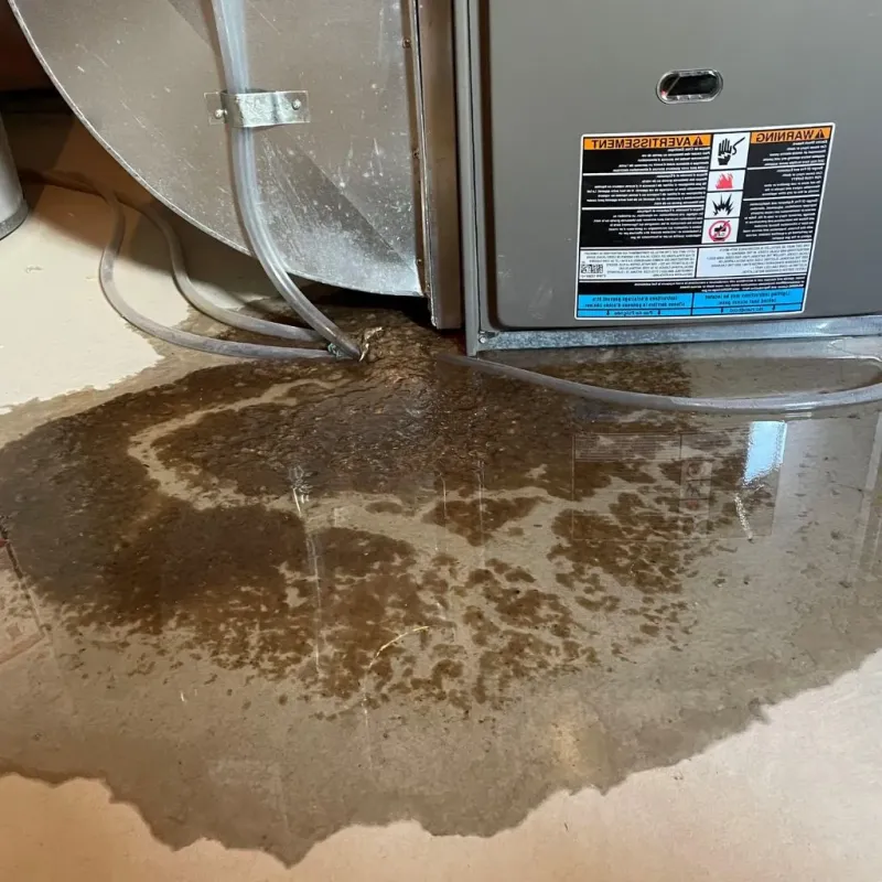 Pipe Burst and Leak Restoration in Marshall County, AL
