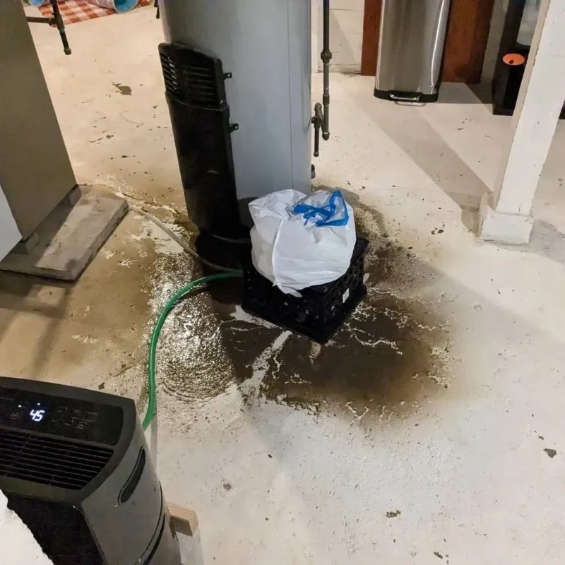 Sewage Backup Cleanup Service in Marshall County, AL